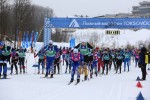 Открыта регистрация на лыжный марафон Toksovocup 2024!