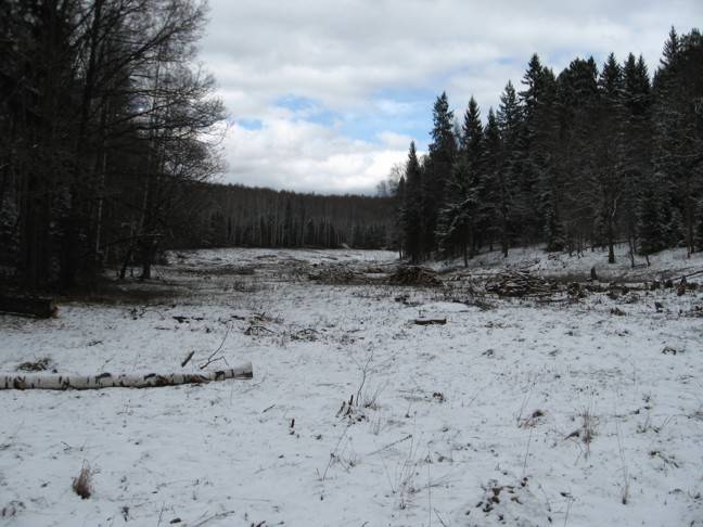 РџРѕР»СЏРЅР° РґР»СЏ СЃС‚Р°РґРёРѕРЅР° Рё СЃС‚СЂРµР»СЊР±РёС‰Р°.