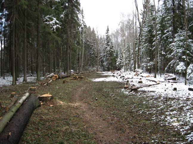 Р Р°СЃС‡РёСЃС‚РєР° РїСЂРѕСЃРµРєРё.