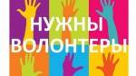 Ищем таланты Ищем таланты