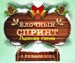 Лыжная гонка «Ёлочный спринт» в Ромашково Лыжная гонка «Ёлочный спринт» в Ромашково
