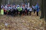 Кросс лыжников «Волкуша» 2017 Кросс лыжников «Волкуша» 2017