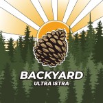 В подмосковной Истре, в лесопарке Шишкин лес пройдёт Backyard Ultra Istra В подмосковной Истре, в лесопарке Шишкин лес пройдёт Backyard Ultra Istra
