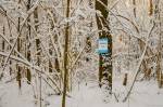 28 февраля Гонка на выживание в Ромашково состоится 28 февраля Гонка на выживание в Ромашково состоится