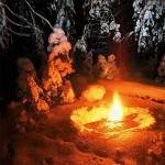 Новогодняя вечерняя гонка в ГАБО Новогодняя вечерняя гонка в ГАБО