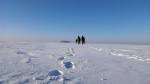 Белый трейл. Обское море. Белое безмолвие Белый трейл. Обское море. Белое безмолвие