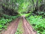 «Perm Trail Подснежник» - самый грязный трейл с самым чистым названием «Perm Trail Подснежник» - самый грязный трейл с самым чистым названием