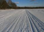 Снег и лёд московских лыжных трасс. Где покататься на беговых лыжах в ближайшие выходные?