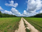 Осенний Компот-рогейн 2024 Осенний Компот-рогейн 2024