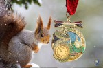 VIII Новогодний Sosnovka Snake марафон 15 декабря 2024 года VIII Новогодний Sosnovka Snake марафон 15 декабря 2024 года