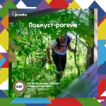 "Подкуст-рогейн" в любимом лесу Подмосковья! "Подкуст-рогейн" в любимом лесу Подмосковья!