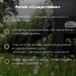 Рогейн Солнцестояние от команды gryadka.club