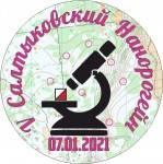 Салтыковский Нанорогейн Салтыковский Нанорогейн