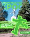 Открыта регистрация на «Спортмастер PRO Кросс: Осень»! Открыта регистрация на «Спортмастер PRO Кросс: Осень»!