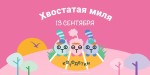 Хвостатая миля — добрый забег в сердце леса!