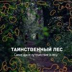 Hогейн Таинственный лес Hогейн Таинственный лес