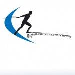 Лыжный спринт в Измайловском лесопарке Лыжный спринт в Измайловском лесопарке