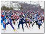 Московская лыжня 2016 Московская лыжня 2016
