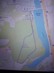 "Беги с ветерком" в заказнике Долгие Пруды! "Беги с ветерком" в заказнике Долгие Пруды!