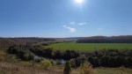 Рогейн Forest Adventure Осётр Рогейн Forest Adventure Осётр