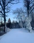Ждем начала лыжного сезона в Одинцовском парке!