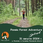 Рогейн Forest Adventure Рогейн Forest Adventure