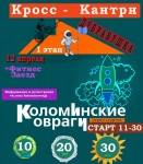 1 этап. Коломинские овраги. 2020 Велосипедная гонка по пересечённой местности 1 этап. Коломинские овраги. 2020 Велосипедная гонка по пересечённой местности