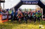 Гонка с препятствиями Bear Race