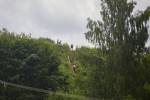 "Тверские дали" - этап кубка по трелраннигну "Неоткрытые края"! "Тверские дали" - этап кубка по трелраннигну "Неоткрытые края"!