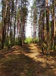 3 этап redBikeCup 2023 "Dark Forest Ride" 3 этап redBikeCup 2023 "Dark Forest Ride"