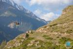 Продолжается регистрация на Elbrus World Race by adidas Outdoor Продолжается регистрация на Elbrus World Race by adidas Outdoor
