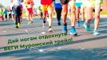 В Муроме будет настоящий Трейл!
