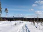 Карельская Лыжная Неделя в 2014 году стартует уже в пятый раз.