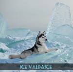 Едем на Валдай! Едем на Ice Valdaice! Едем на Валдай! Едем на Ice Valdaice!