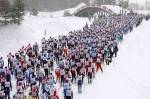 Презентация Дёминского лыжного марафона Worldloppet! Презентация Дёминского лыжного марафона Worldloppet!
