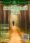 Трейл Сосновый рай в золотом бору от Trailrunning Samara Трейл Сосновый рай в золотом бору от Trailrunning Samara