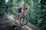 Велогонка Lindores Abbey RVO Race по лесной трассе спортивного клуба «Альфа-Битца» Велогонка Lindores Abbey RVO Race по лесной трассе спортивного клуба «Альфа-Битца»