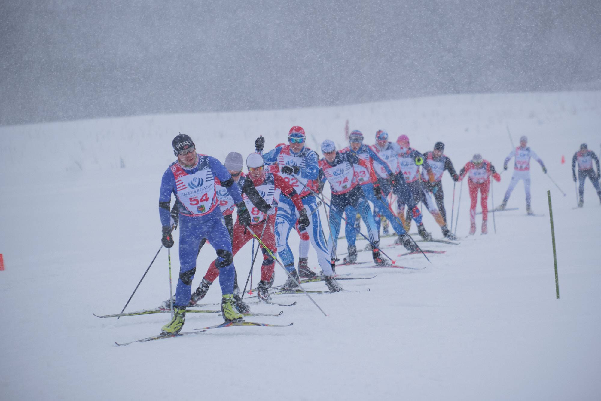 Лыжные гонки начало
