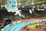 Снежная королева... спорта Снежная королева... спорта